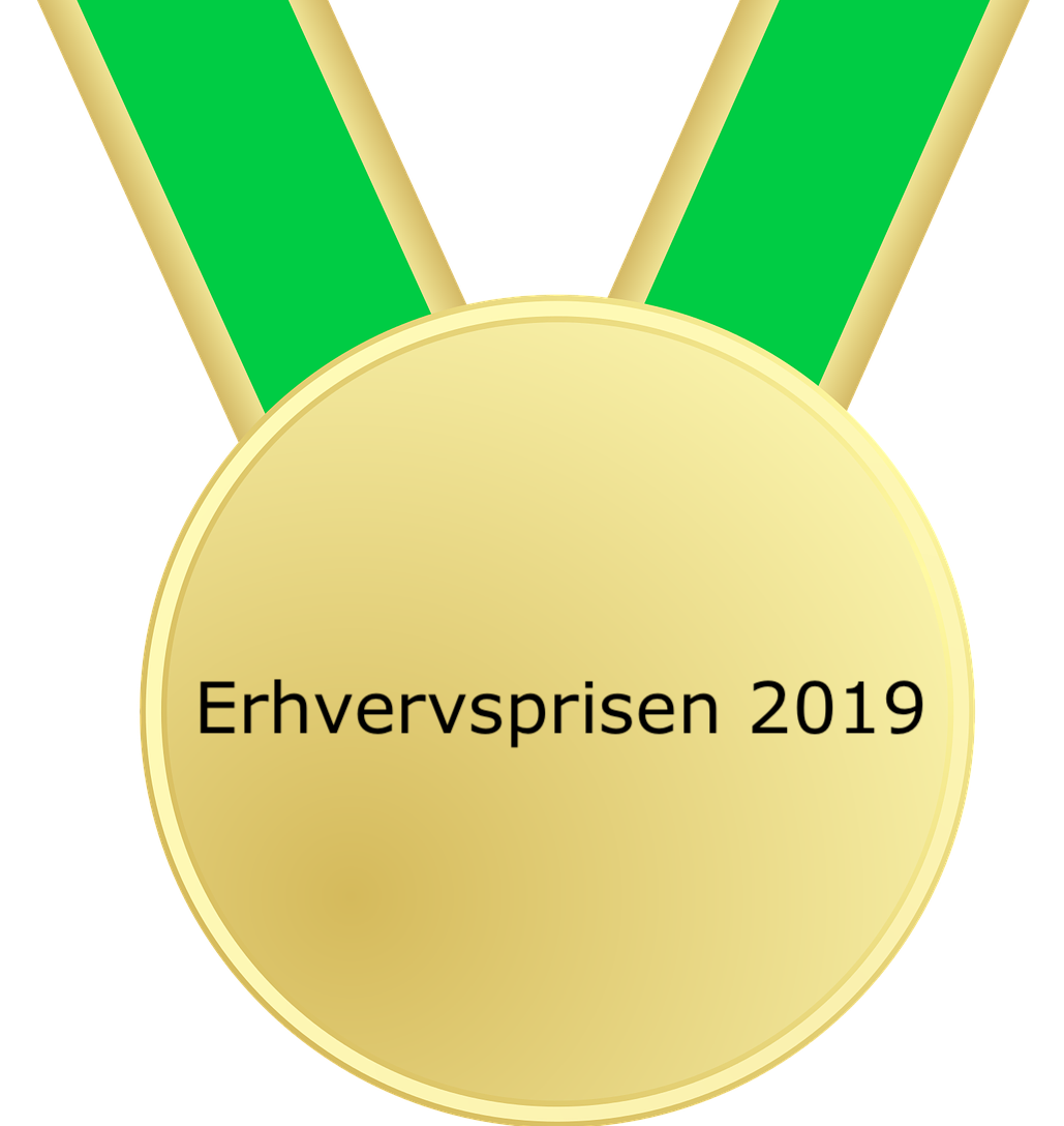 HVEM SKAL HAVE ERHVERVSPRISERNE 2019?